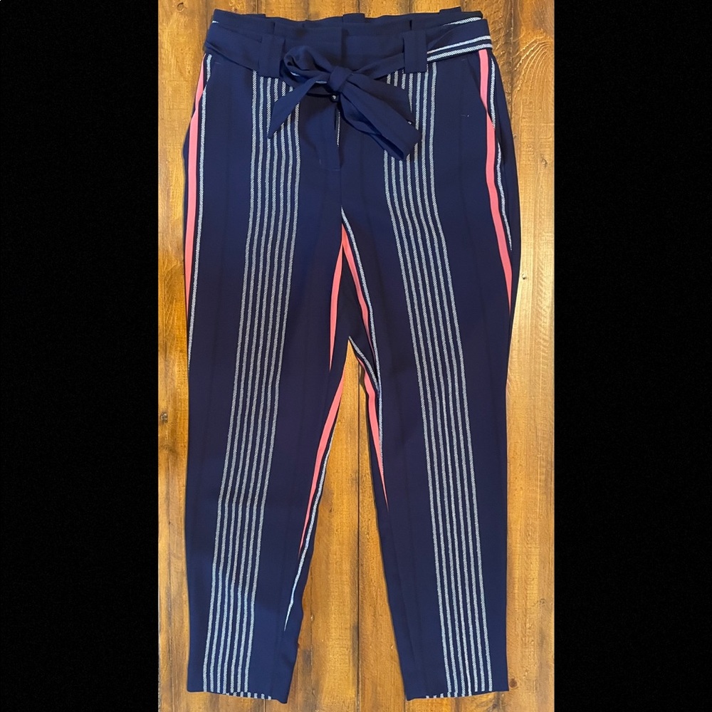 Express Dress Pants